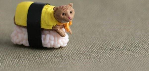 5 Creative 3D PVC Sushi Cat Fridge Magnets