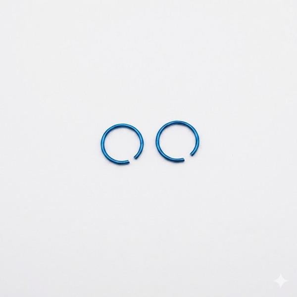 Stainless Steel Nose Lip Ear Rings