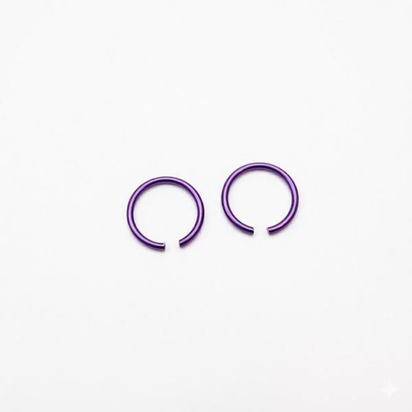 Stainless Steel Nose Lip Ear Rings