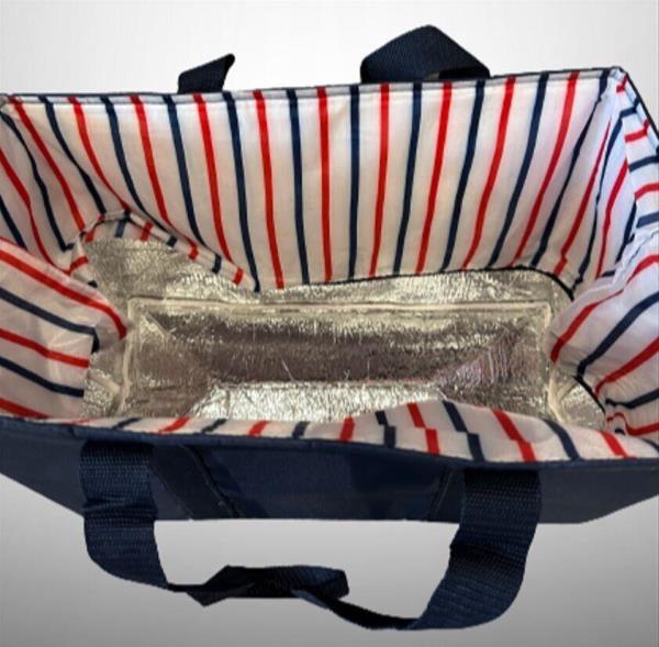Big Blue Insulated Cooler Picnic Bag