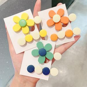 5 Cute Cartoon Acrylic Fruit Hair Clips